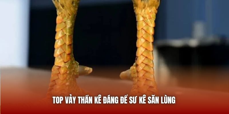 Top vảy thần kê đáng để sư kê săn lùng