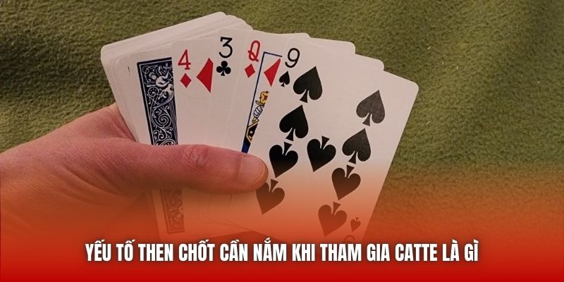 Yếu tố then chốt cần nắm khi tham gia Catte là gì 