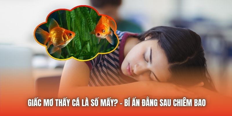 Giấc Mơ Thấy Cá Là Số Mấy? - Bí Ẩn Đằng Sau Chiêm Bao